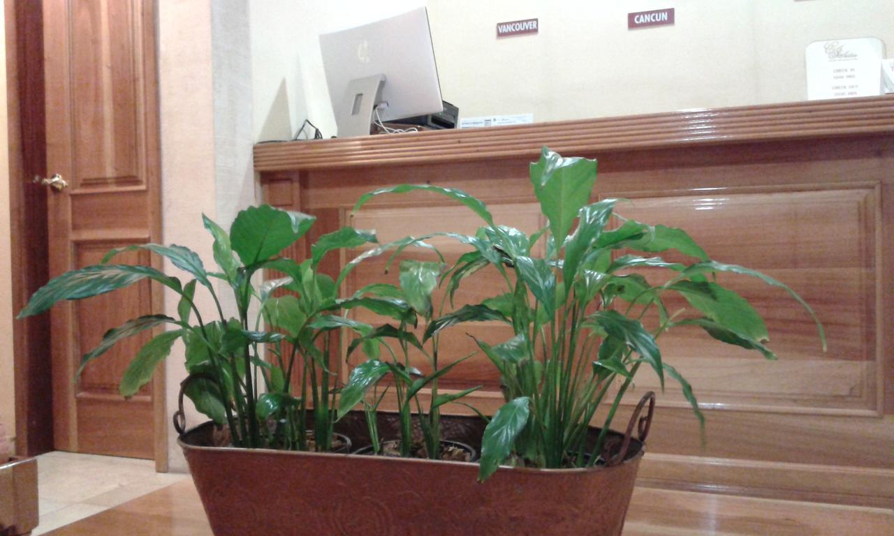 Cancun International Suites Kültér fotó